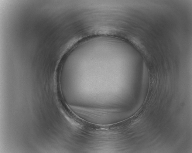 X0000063530678200602032137