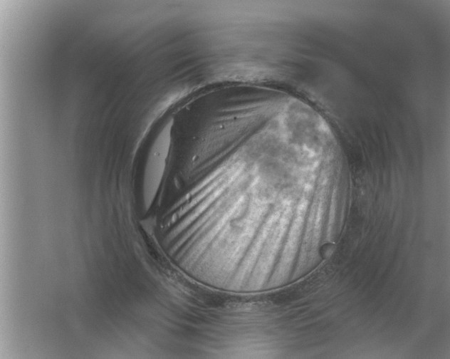 X0000063530679200602032137