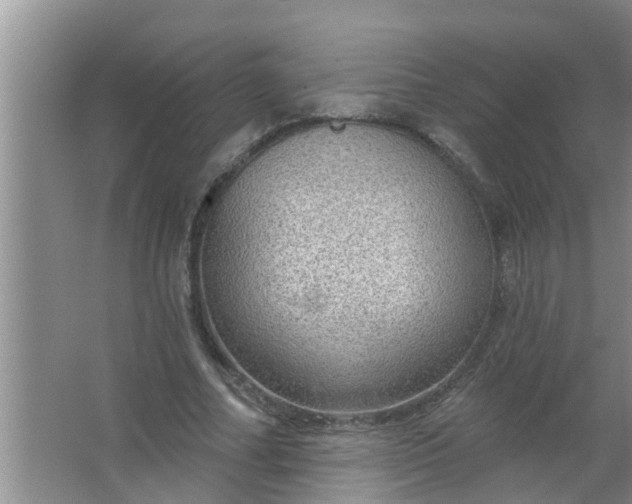 X0000063530682200602032137