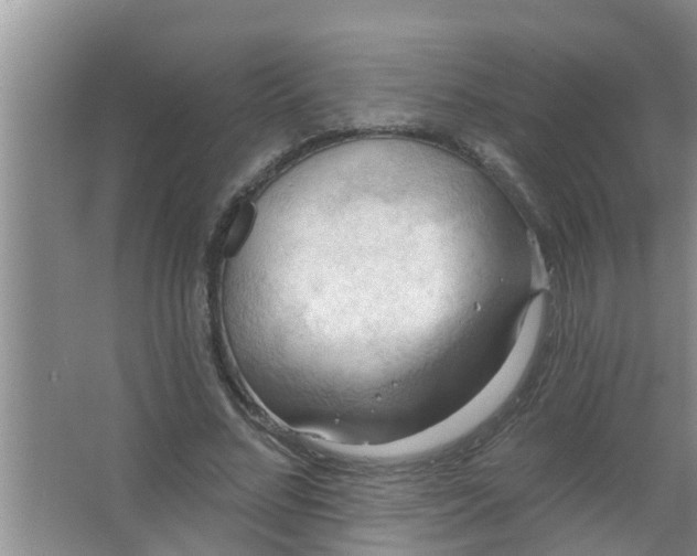 X0000063530684200602032136