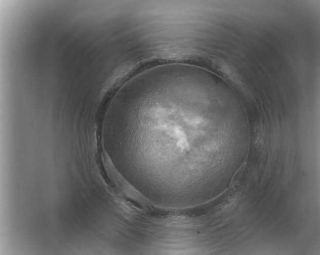 X0000063530685200602032136