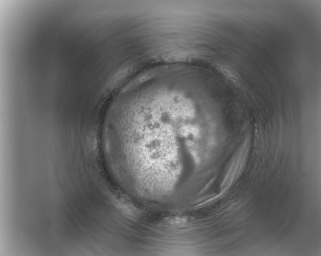 X0000063530687200602032136