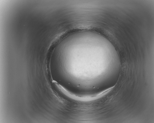 X0000063530688200602032136