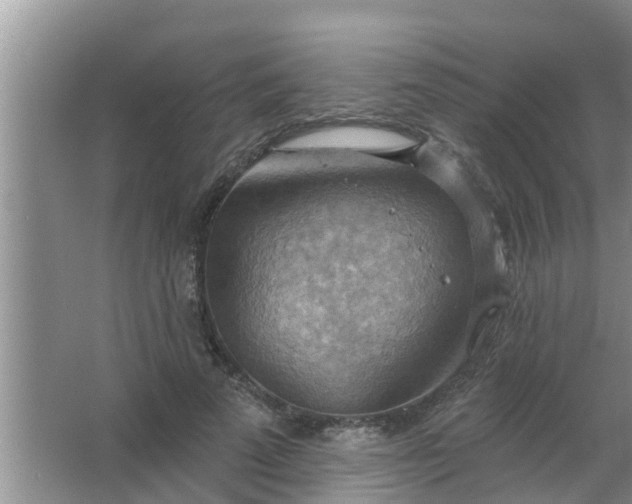 X0000063530689200602032136