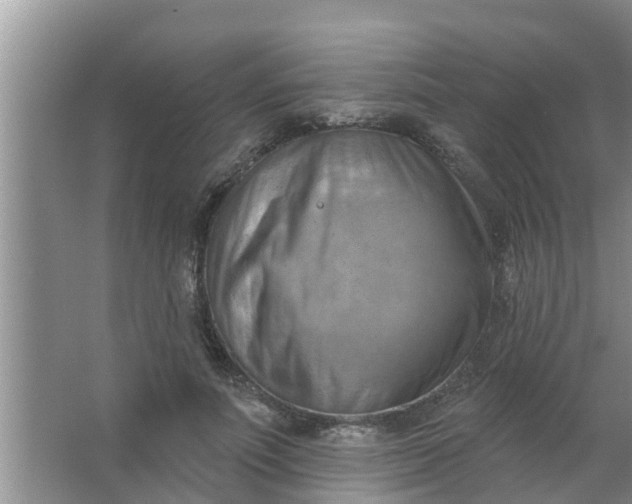 X0000063530691200602032136