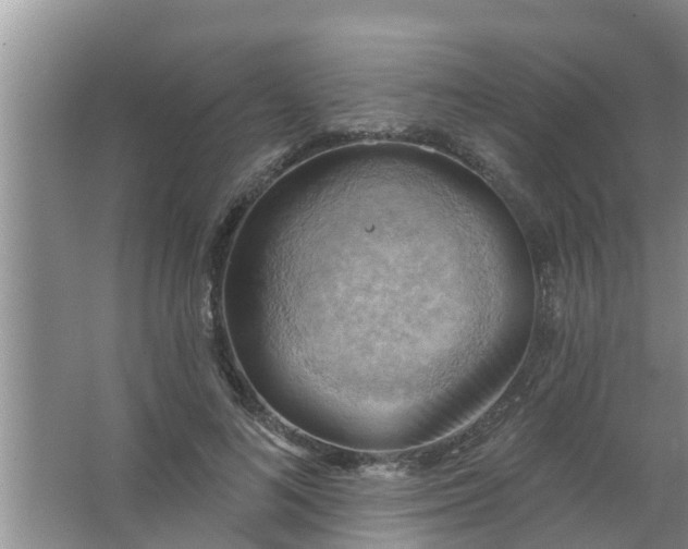 X0000063530692200602032136