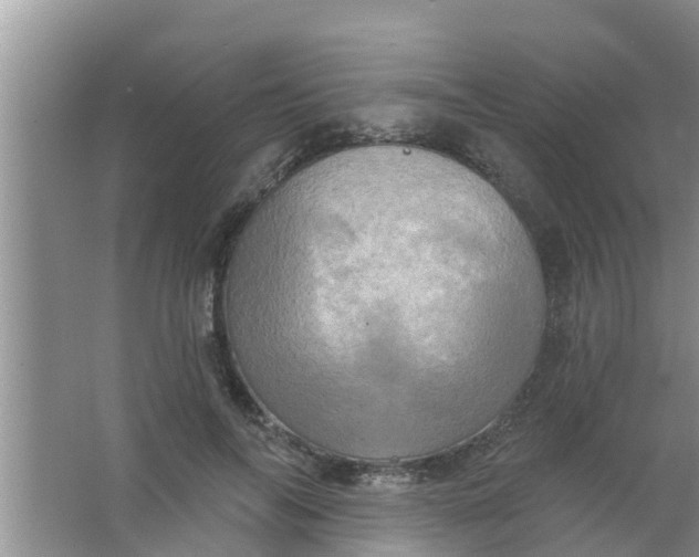 X0000063530694200602032136