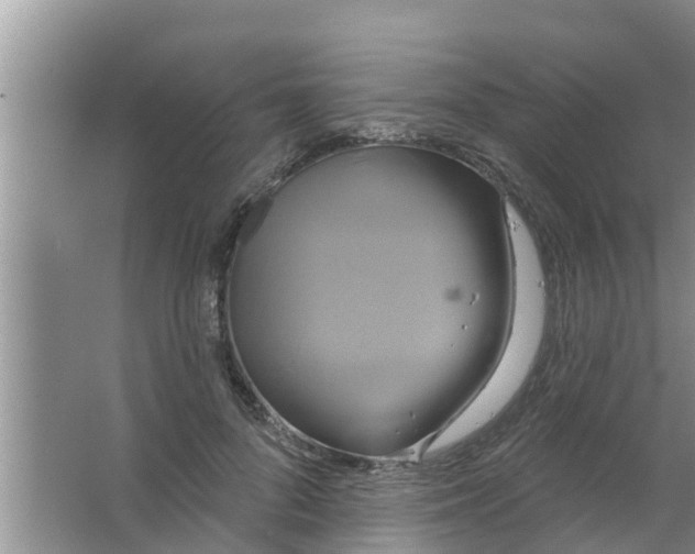 X0000063530696200602032136