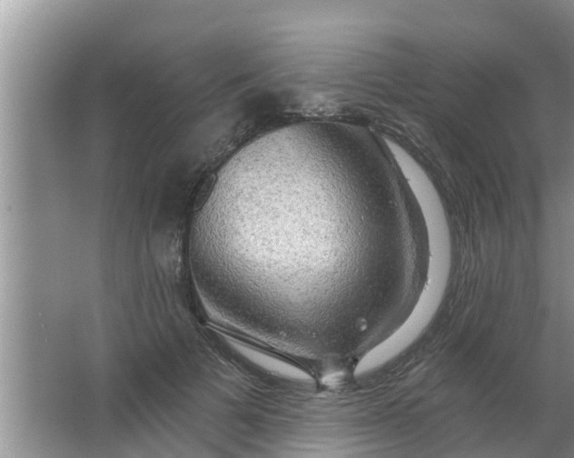 X0000063530697200602032136