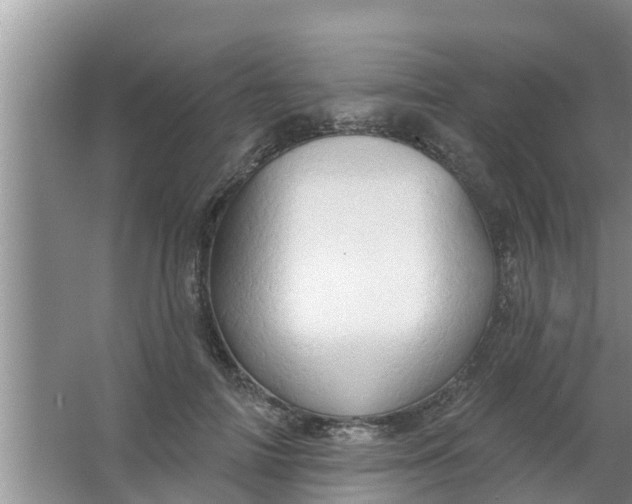 X0000063530698200602032136