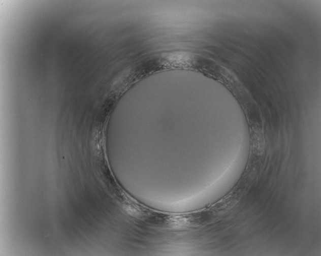 X0000063530701200602032136