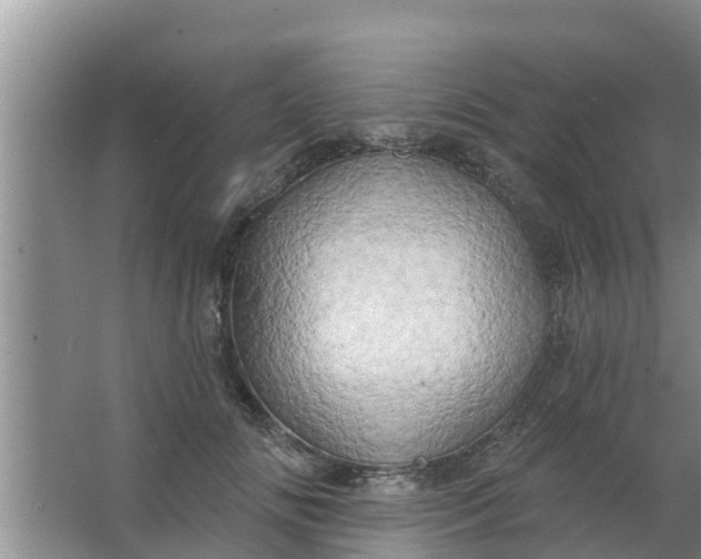 X0000063530702200602032136