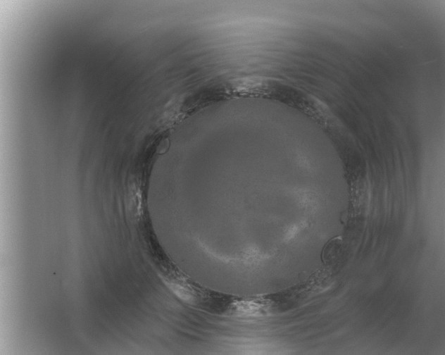 X0000063530703200602032136