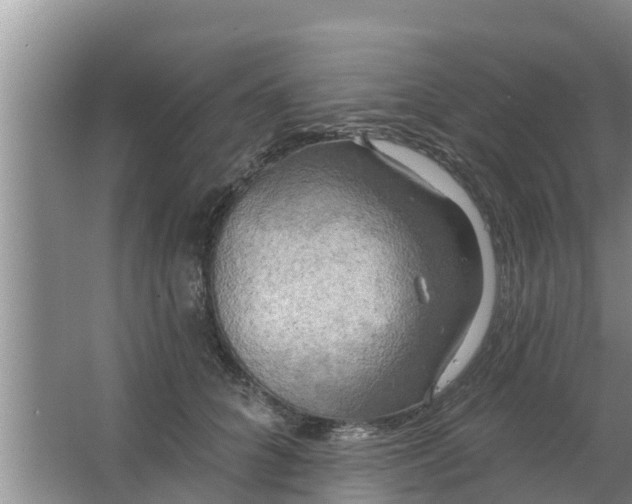 X0000063530704200602032136