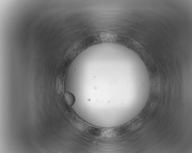 X0000063530705200602032136