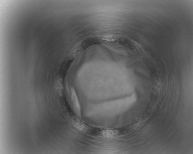 X0000063530707200602032136