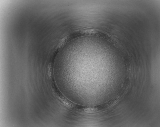 X0000063530708200602032136