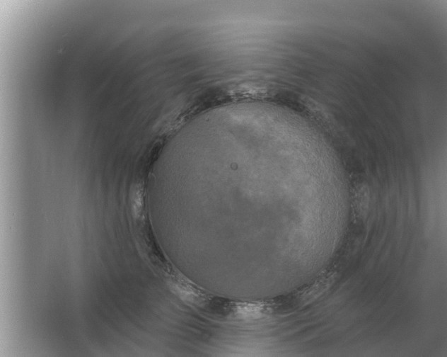 X0000063530709200602032136