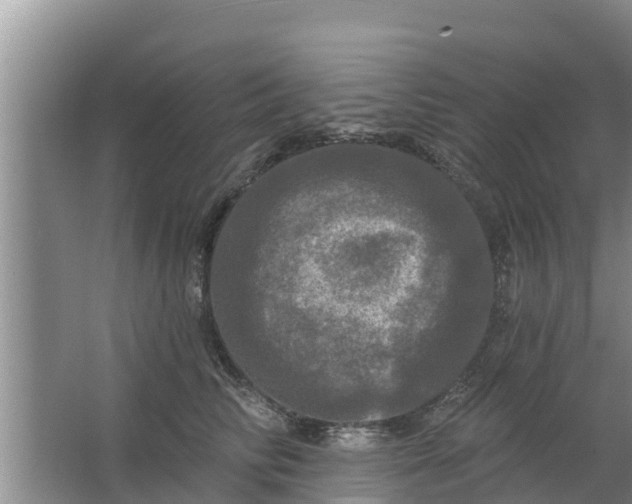 X0000063530710200602032136