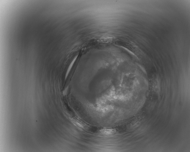 X0000063530711200602032136