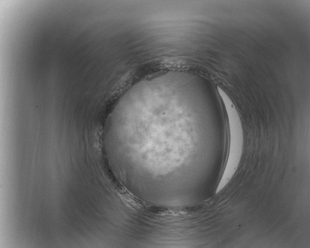 X0000063530712200602032136