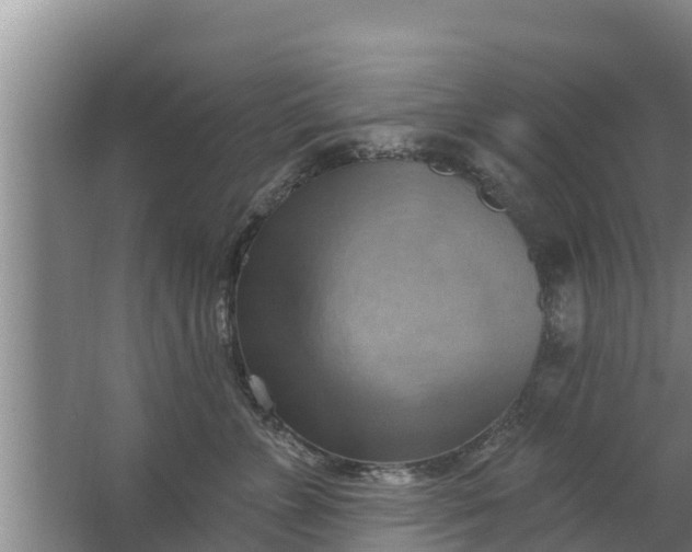 X0000063530715200602032136