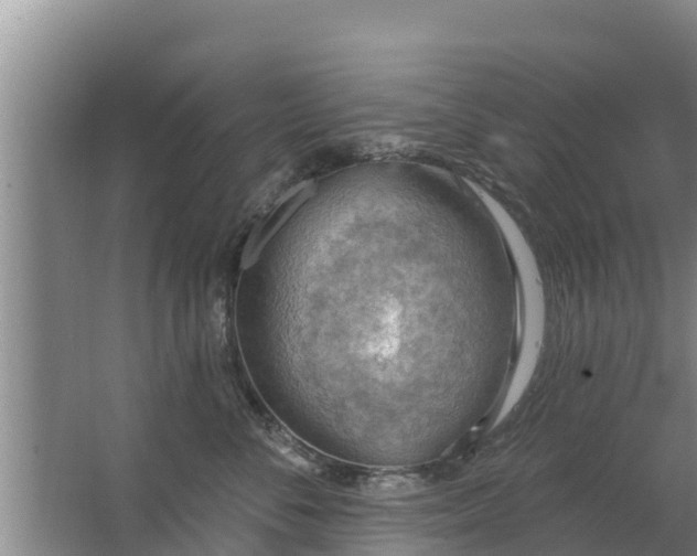 X0000063530716200602032136