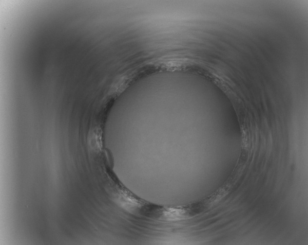 X0000063530718200602032136