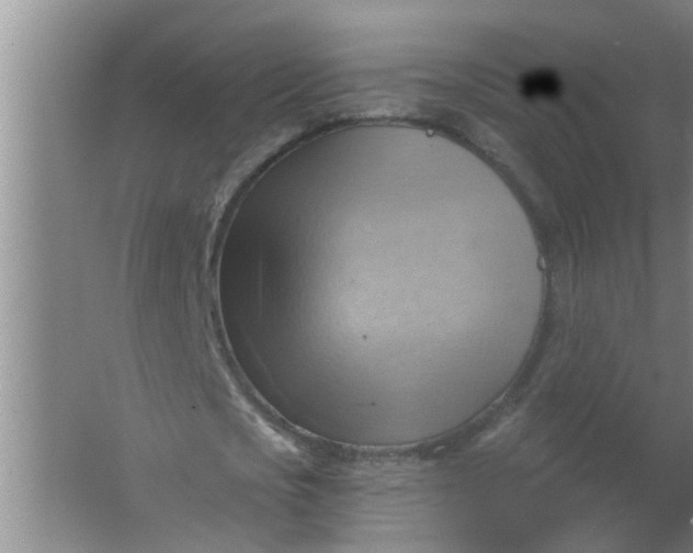 X0000063530721200602032135