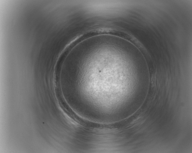 X0000063530722200602032135