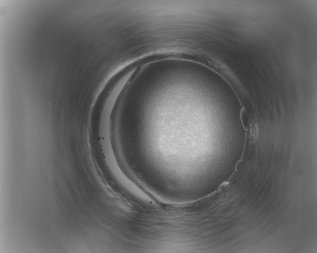 X0000063530724200602032135