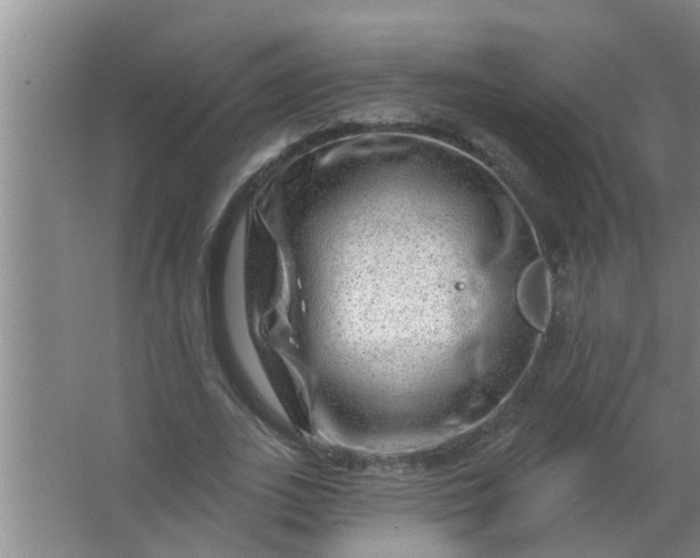 X0000063530727200602032135