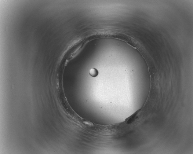 X0000063530731200602032135