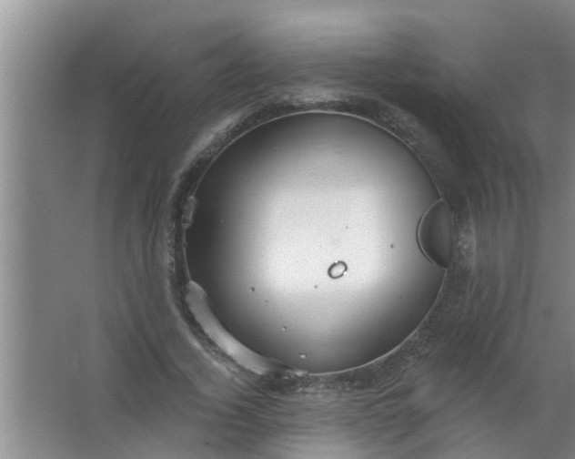 X0000063530732200602032135