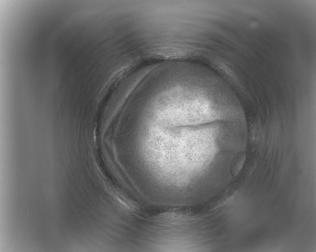 X0000063530733200602032135