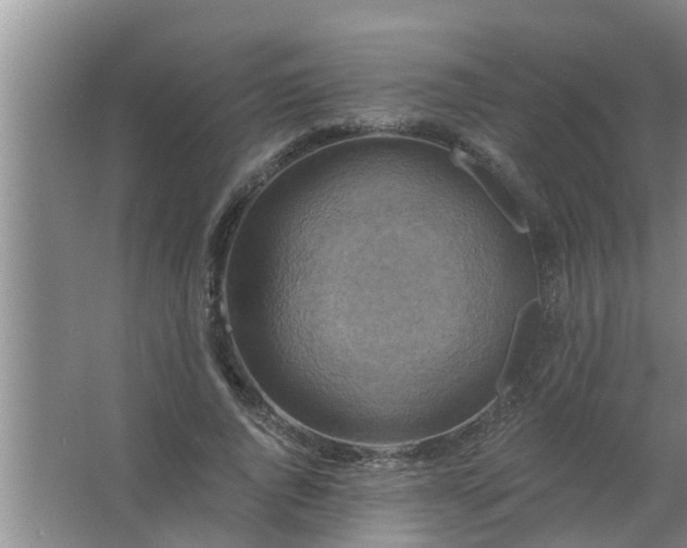 X0000063530736200602032135