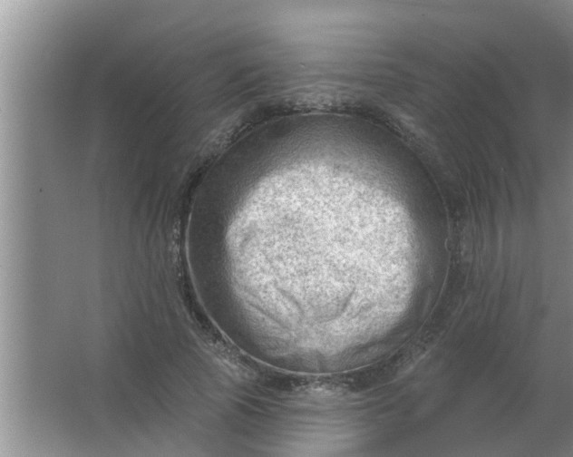 X0000063530737200602032135