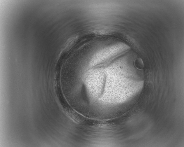 X0000063530738200602032135