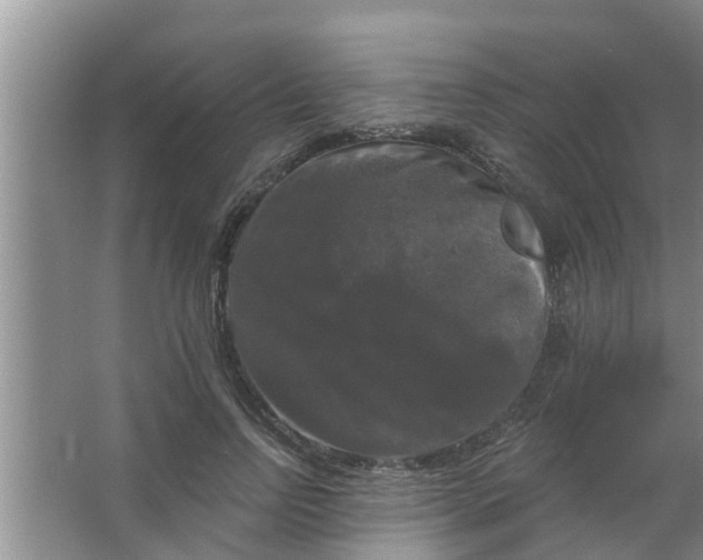 X0000063530742200602032135