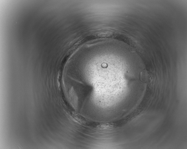 X0000063530745200602032135