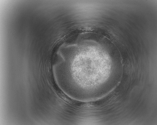 X0000063530747200602032136