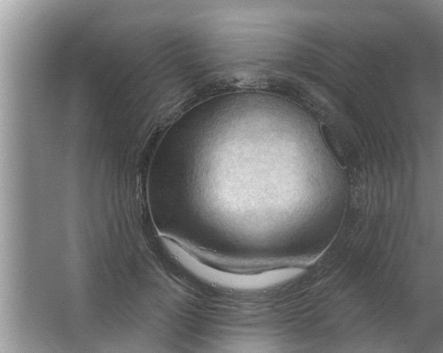 X0000063530748200602032136