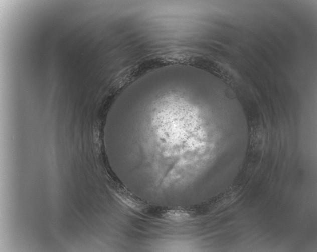 X0000063530749200602032136