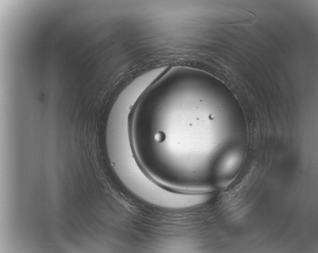 X0000063530750200602032136