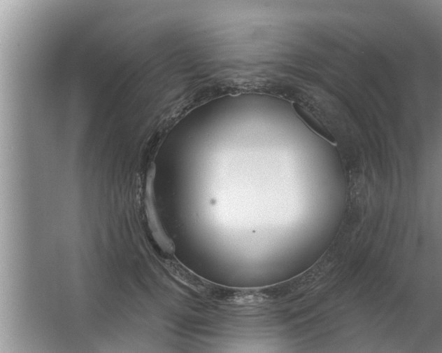 X0000063530752200602032136