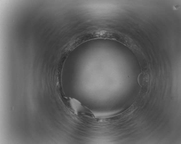 X0000063530754200602032136