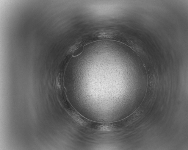 X0000063530755200602032136