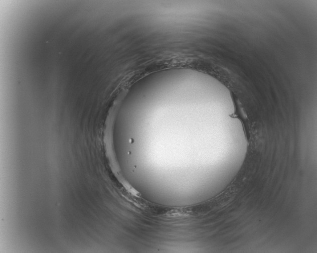 X0000063530756200602032136