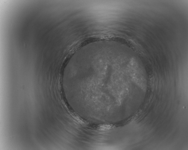 X0000063530757200602032136