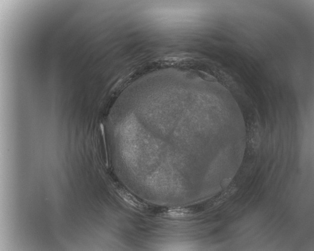 X0000063530758200602032136